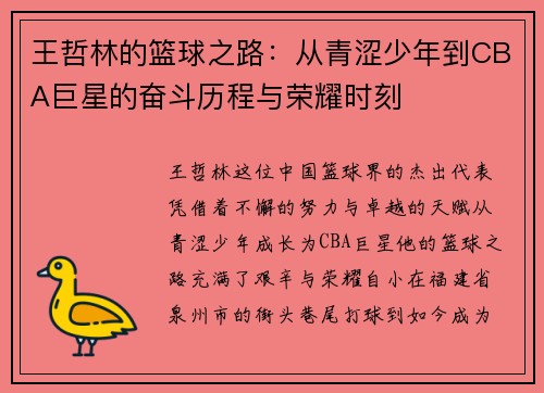 王哲林的篮球之路：从青涩少年到CBA巨星的奋斗历程与荣耀时刻